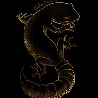 Gecko Exchange 守宮交易所