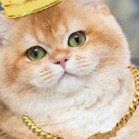 ทาสน้องเเมว