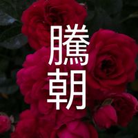 騰朝雅玩
