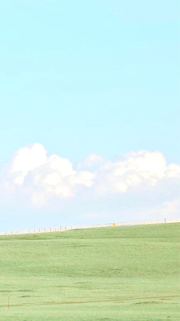 又美又富VIP群