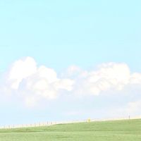 又美又富VIP群