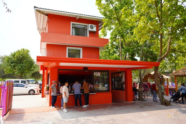 中部景點,斗六景點,斗六花旗木,近水樓台,近水樓台湖畔森林咖啡,近水樓台湖畔森林咖啡交通資訊,近水樓台湖畔森林咖啡停車場,近水樓台湖畔森林咖啡停車場花旗木,近水樓台湖畔森林咖啡門票,雲林IG打卡點,雲林景點,雲林網美景點,雲林花旗木近水樓台湖畔森林咖啡花旗木