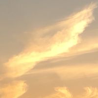 キャリアーズ【募集停止】