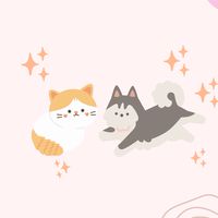 Oreo店長🍪毛孩用品選物店🐶🇰🇷🐱