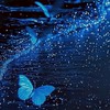 聊天💬/追星💫/處關係🤝