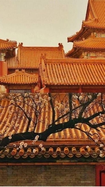 ❝เล่ห์รักวังคุนหนิง❝ ┇ราชวงศ์ต้าหมิง
