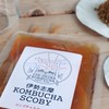 伊勢志摩 KOMBUCHA SCOBY