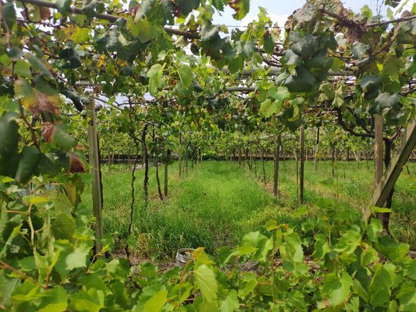 o219e4dc844624f96f7aee365f60706a0_4620693218515748032_200820_0007