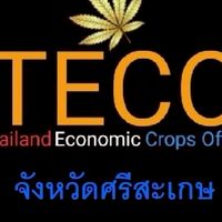 ศรีสะเกษ สำนักงานพืชเศรษฐกิจแห่งชาติ