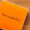 lacuspalus BRIEFING ROOM