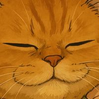 Moon 小月亮VIP限定群組