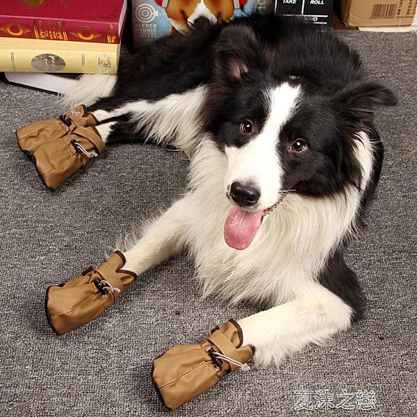 寵物鞋子-大狗鞋 寵物防水鞋狗狗防雨鞋寵物鞋子大狗大型犬金毛鞋薩摩邊牧