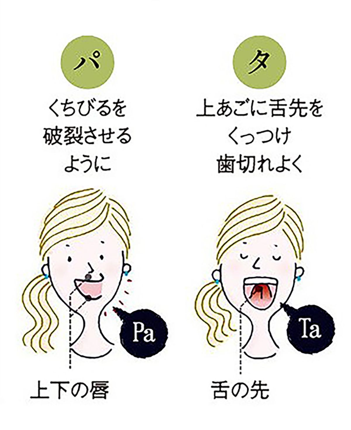 健康 キーワード オーラルフレイル そのままにしては危険 口や歯の働き低下の予防策