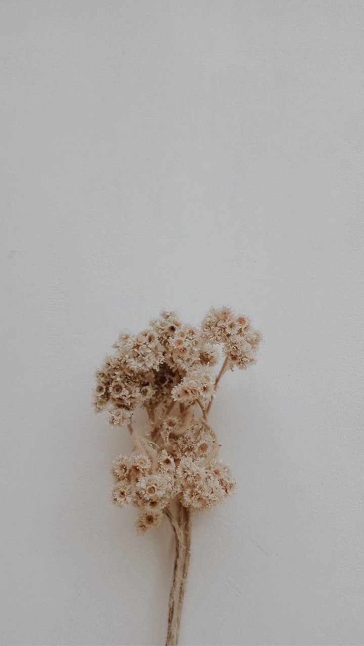 豹嫂團購群