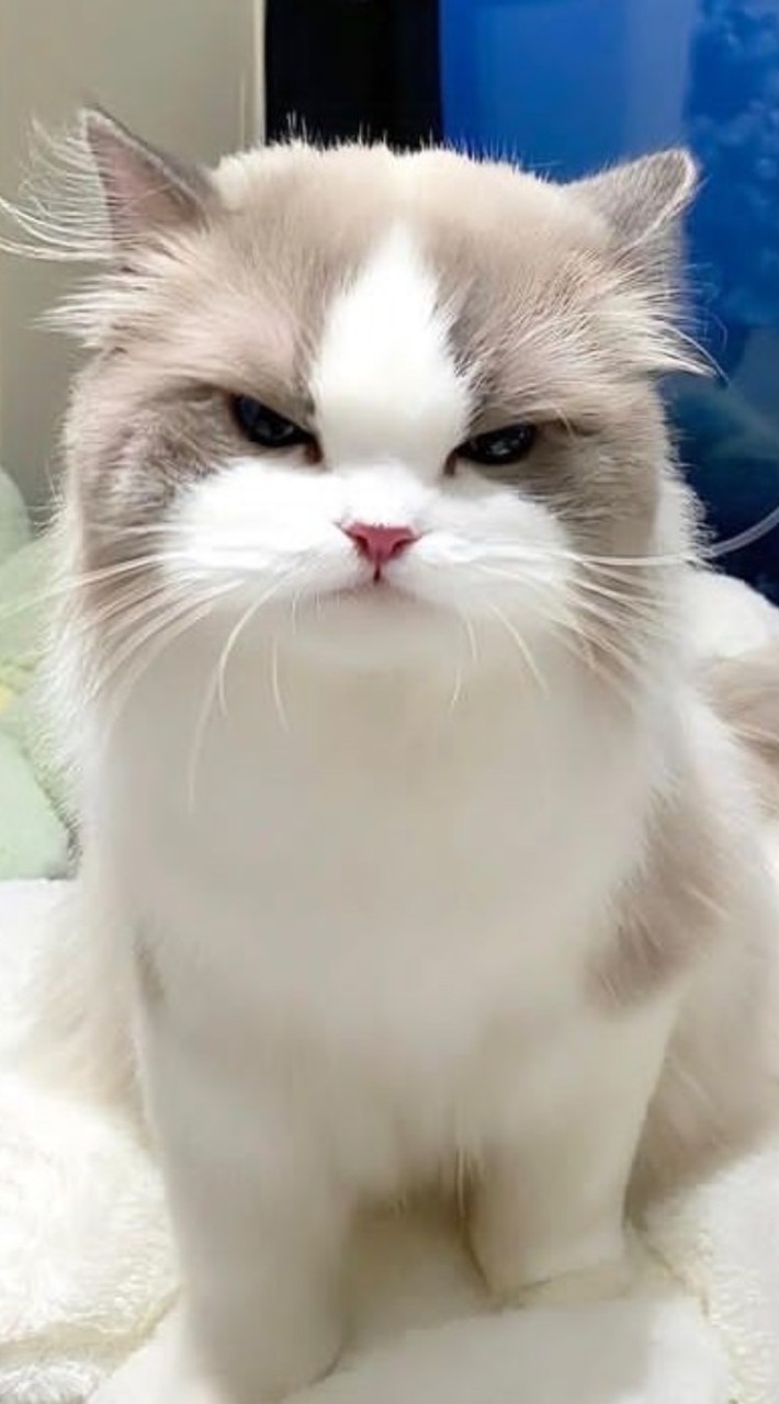 น้องน่ารักเกิน