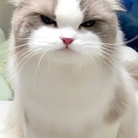 น้องน่ารักเกิน