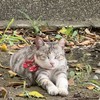 一定是大拇指の東女設備股長們