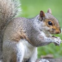 松鼠之家🐿️
