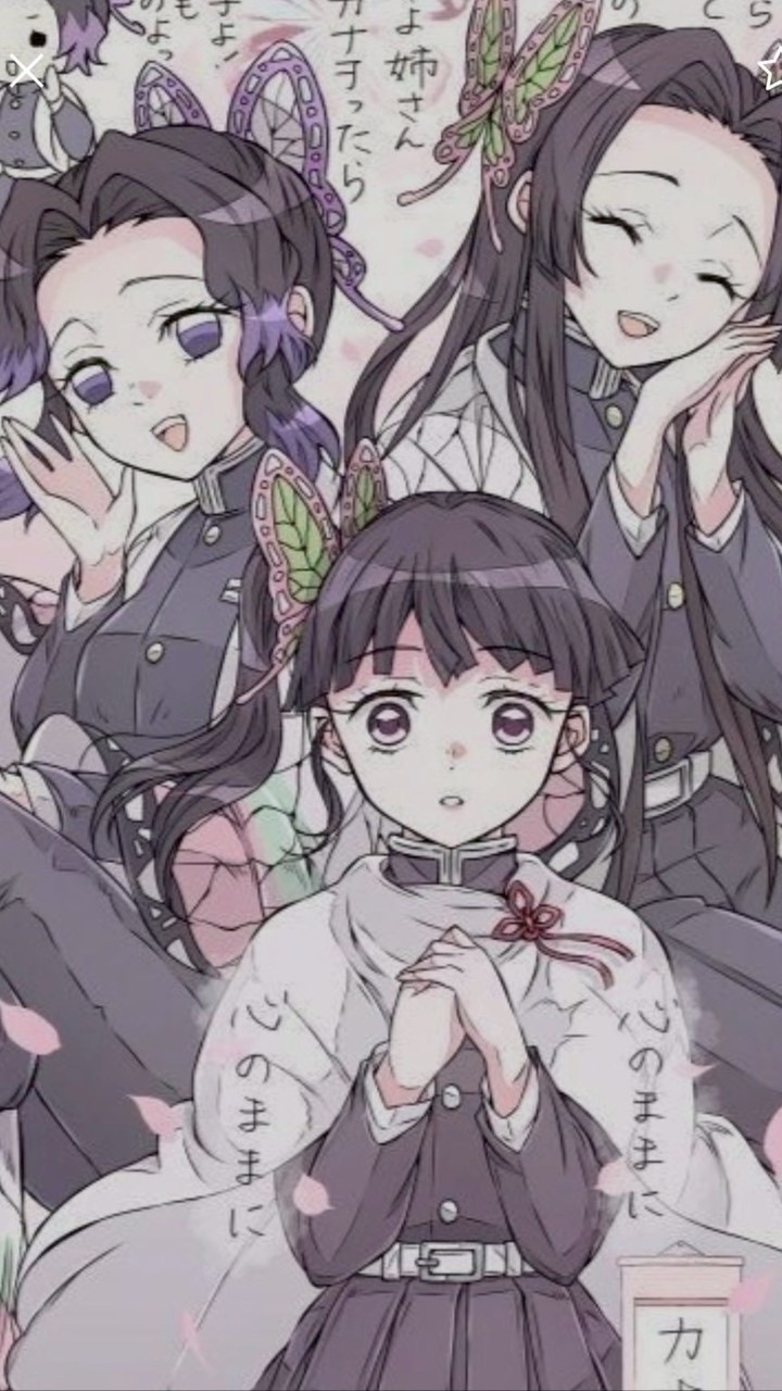 蝴蝶家族 (>^ω^<)