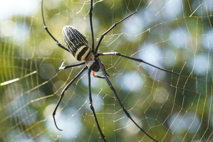 攝錄輕旗艦 Sony A6400 隨身相機動手玩