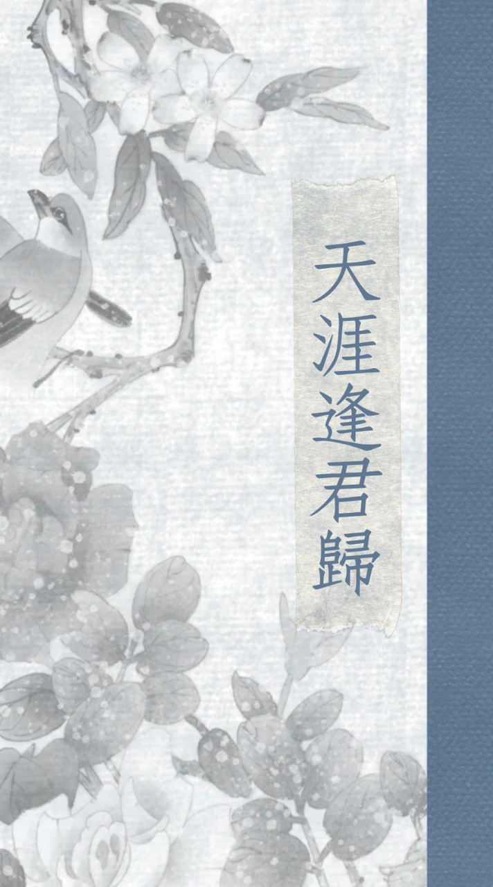 天涯逢君歸