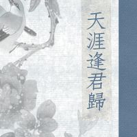 天涯逢君歸