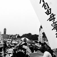 寶島民權觀察站