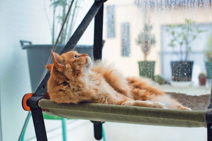 寒暖差や湿度が負担に 梅雨バテさせない環境づくり４