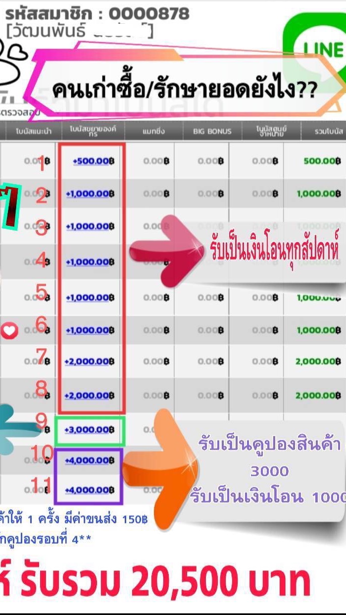 ธุรกิจที่เปลี่ยนชีวิตคุณได้แน่นอน Project M 💸💸💸