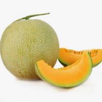 🍈哈密瓜-邪̸̟̥̱͌́̀͆͂教҈̟̪̤͈̣̇̉̒̌̆ 🍈