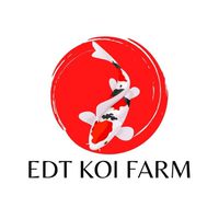 EDT Koi Farm ห้องประมูลปลา