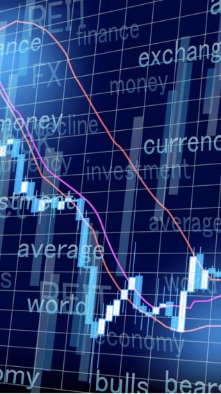 Forex交流群