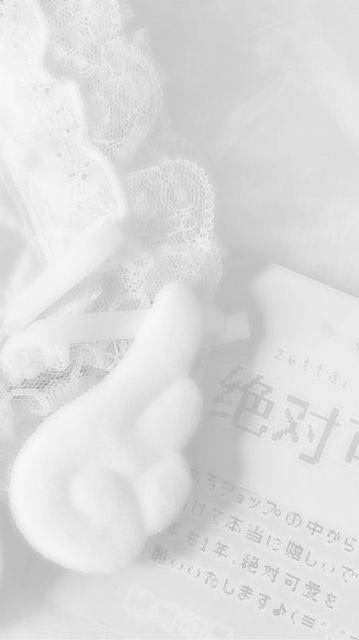 ꕤ ﾟ･𓇼 𓏲 𝐴𝑡𝑡𝑎𝑐ℎ𝑚𝑒𝑛𝑡 𝐷𝑖𝑎𝑟𝑦 𓂃.📝