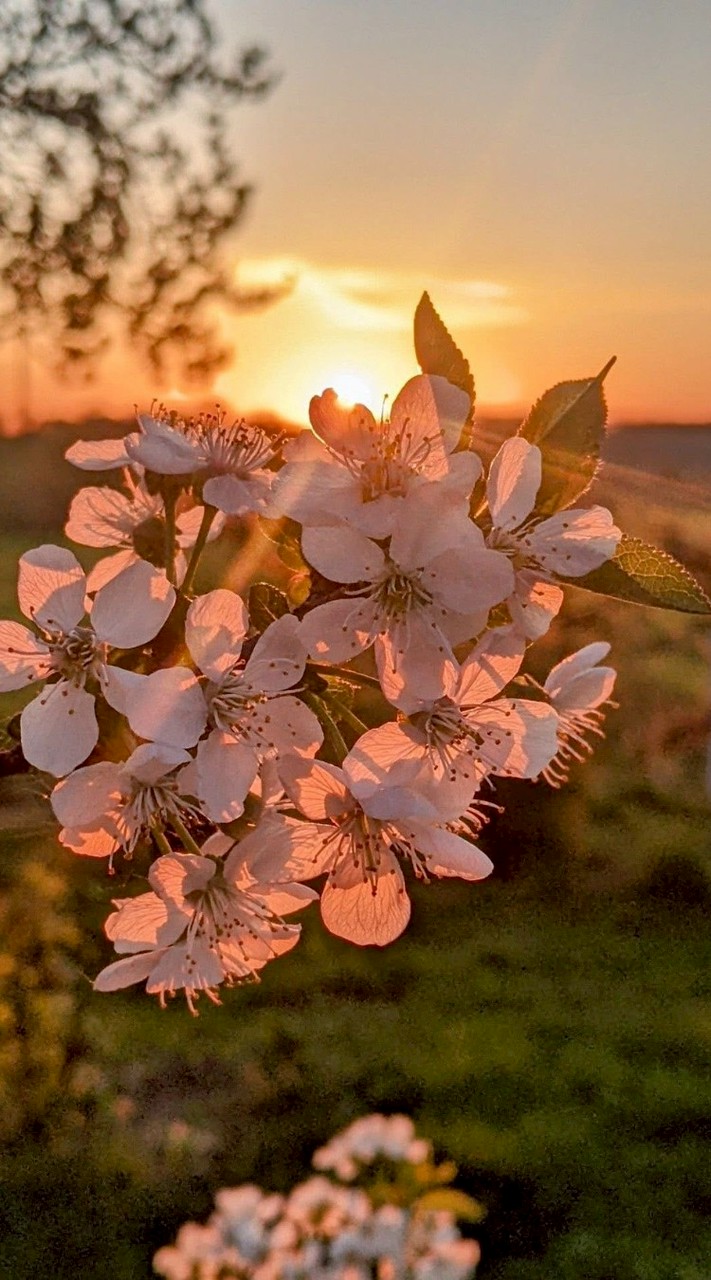 ❤️醞釀情感❤️訴說情愛聊天❤️