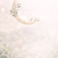 彤彤心靈慢呼吸