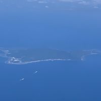 台灣甘藷聯盟/協會