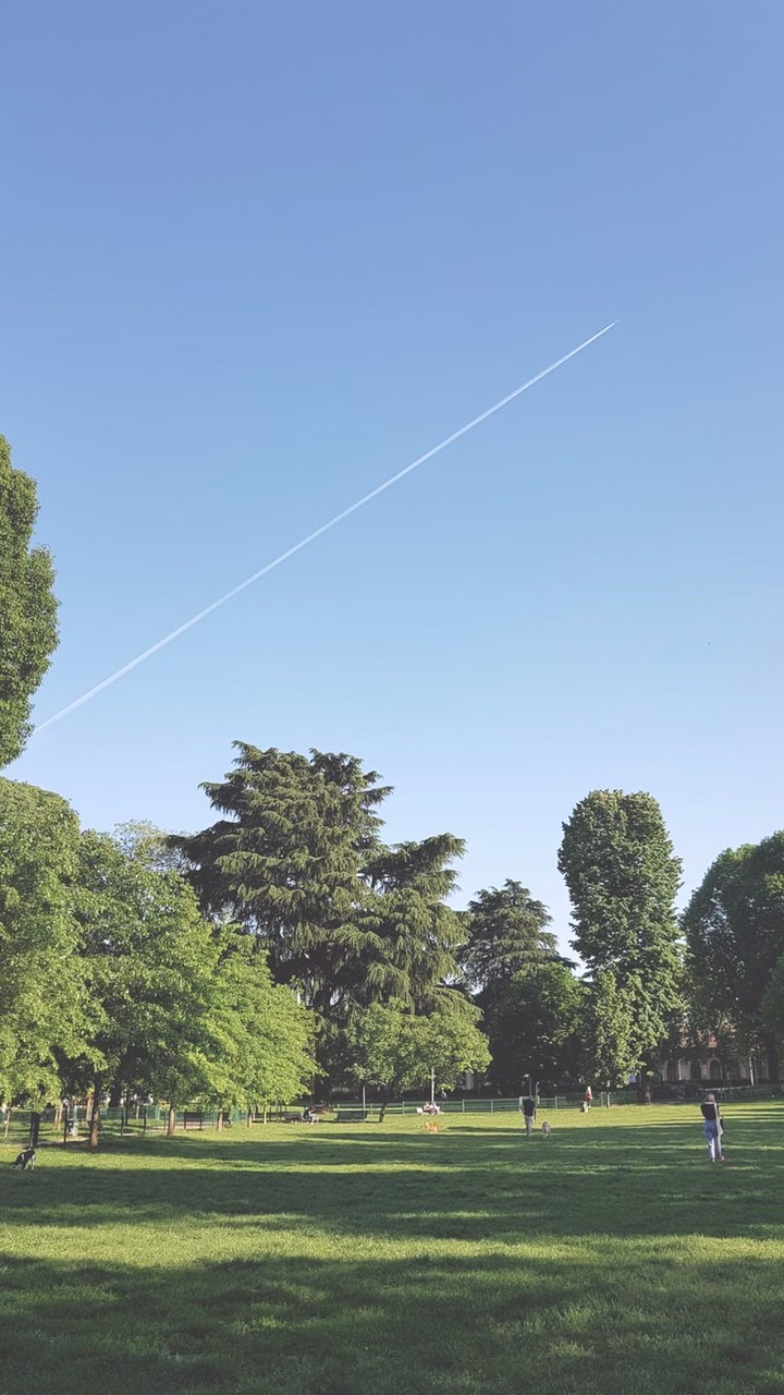 【Brilliant Baby】バギーヨガ