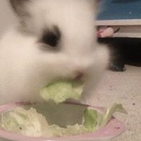 ไจ๋คนหล่อ