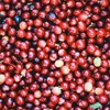 みんなの珈琲塾☕️🍒おうちカフェをアップデートしよう✨【レシピ共有やスタバ、カフェグルメ情報なども🙆‍♂️】