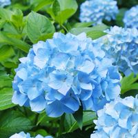 40代〜福岡 佐賀 長崎 楽しく雑談しましょ(^^)