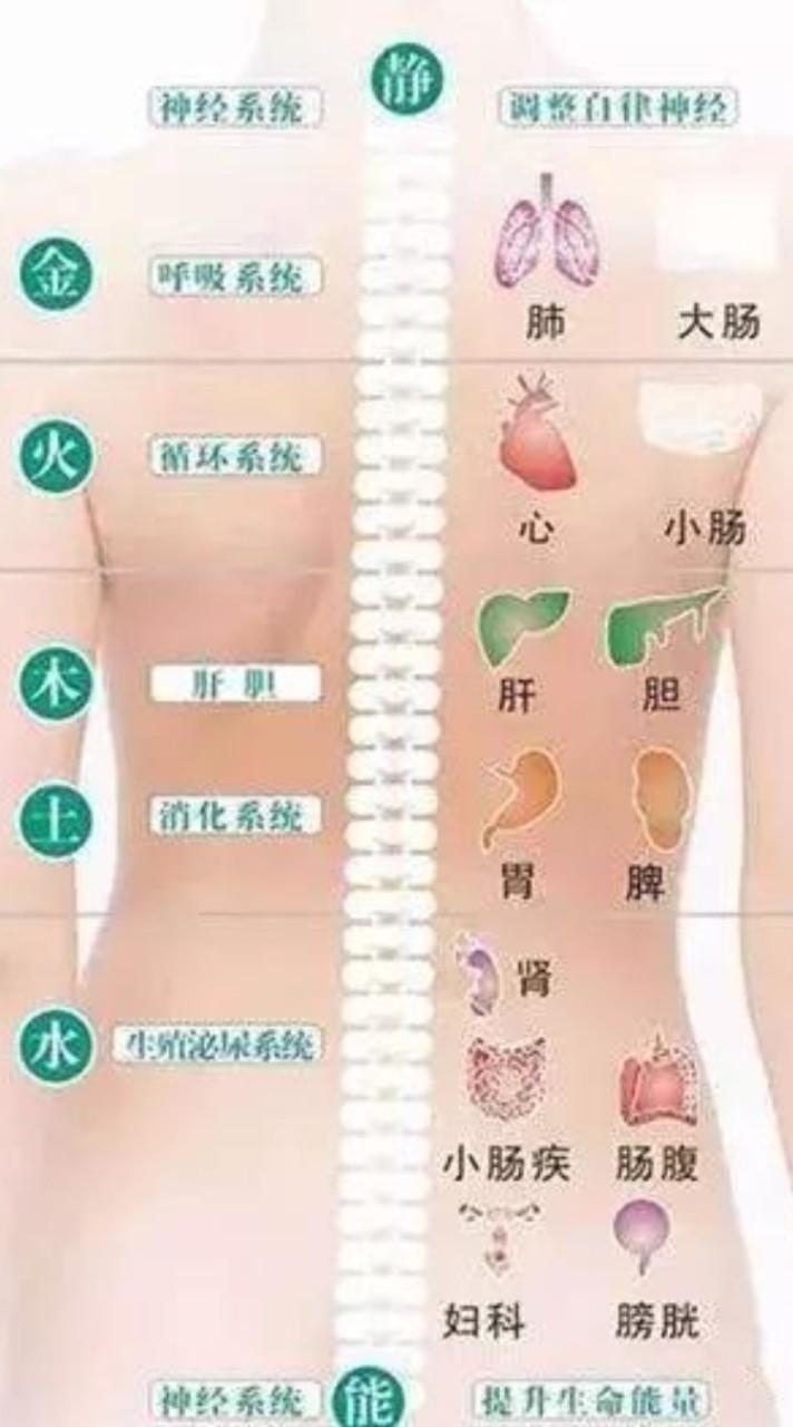 303 AI精油舒壓