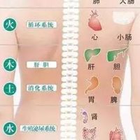 303 AI精油舒壓