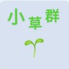 民眾黨 非官方小草群 2028再拚一次