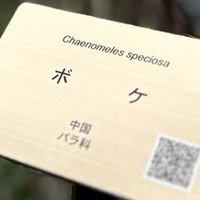 鉄道系雑談部屋(ガセスジを送る部屋)
