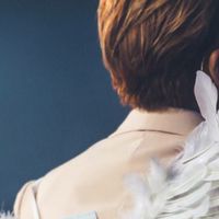 SEVENTEEN　CARATの民度守り隊