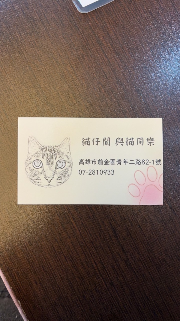 貓仔間 與貓同樂