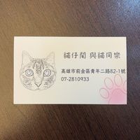 貓仔間 與貓同樂