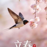 第一好笑