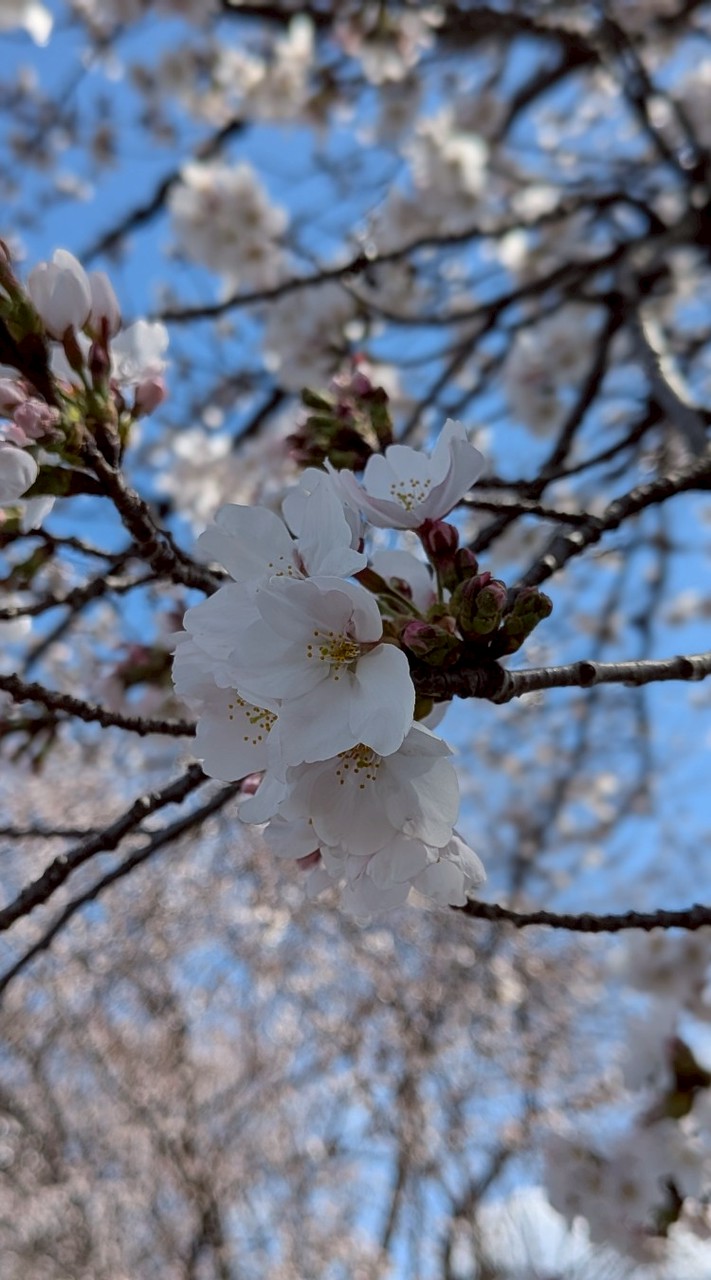 遊び場