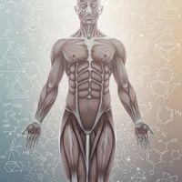 0到1學健身